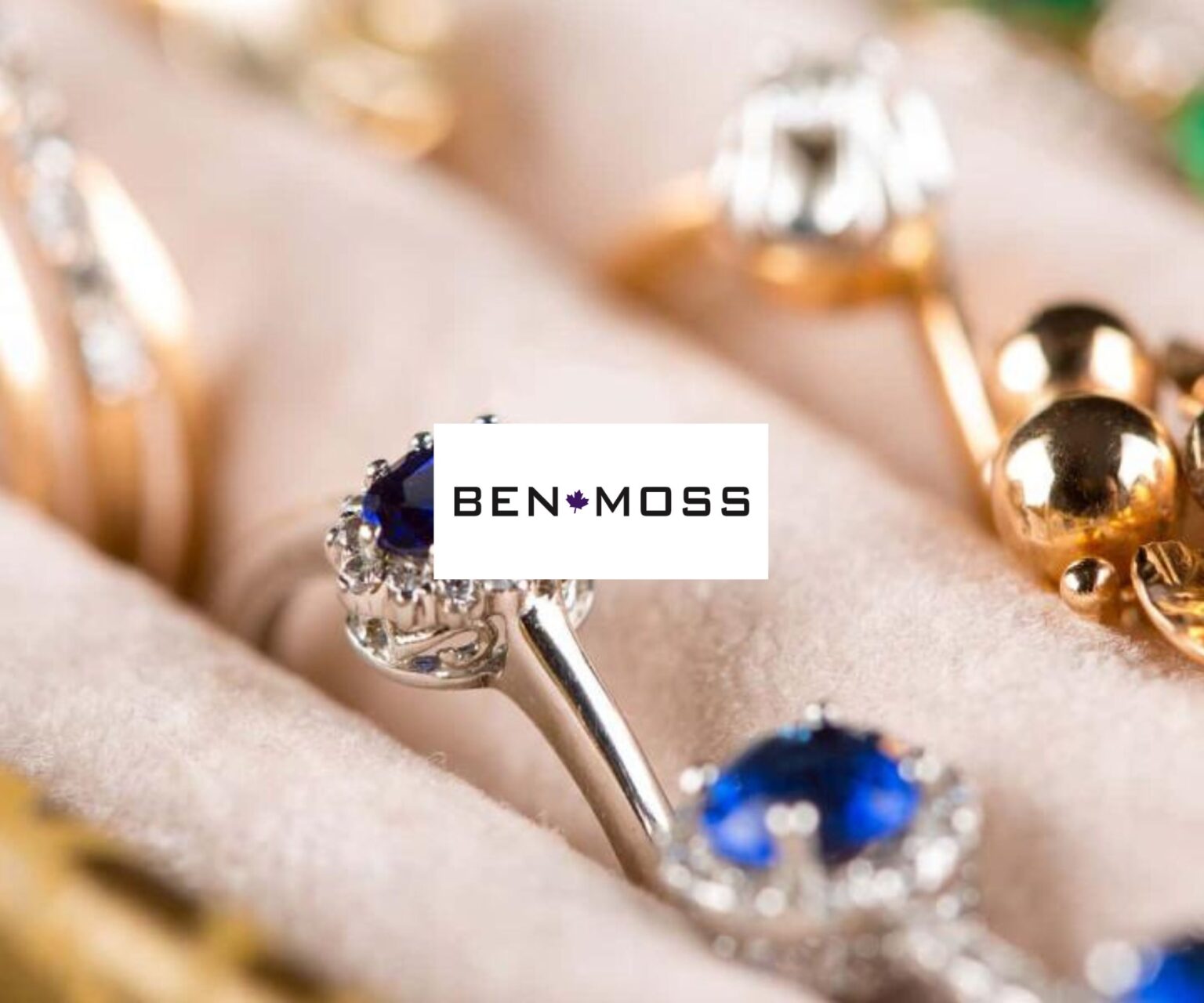 Ben moss christmas catalogue